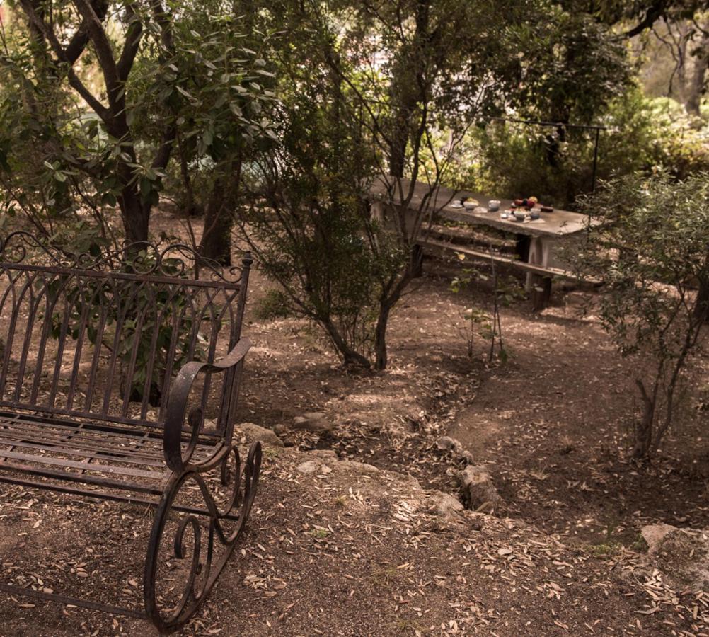 Nel Giardino Dei Pesci Volanti Villa San Pantaleo Eksteriør billede